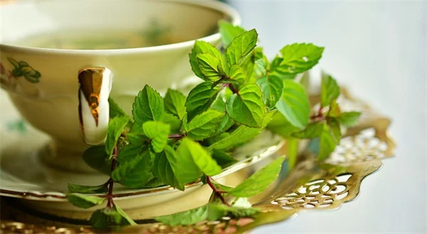 Plant-Based Meat Alternatives: The Surprising 42% Higher Depression Risk
