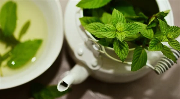 7 Proven Ways to Manage Extreme Hunger After Stopping GLP-1 Drugs